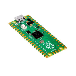 Raspberry Pi Pico (unsoldered) Raspberry Pi Pico (unsoldered)