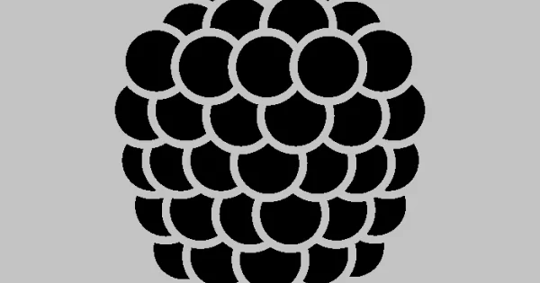 raspberry pi