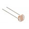 LDR 5mm – Light Dependent Resistor (Photocell) LDR 5mm – Light Dependent Resistor (Photocell)