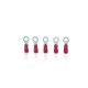 Insulated Ring Terminal for wire size 0.5 to 1.5 sq.mm Insulated Ring Terminal for wire size 0.5 to 1.5 sq.mm