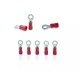 Insulated Ring Terminal for wire size 0.5 to 1.5 sq.mm Insulated Ring Terminal for wire size 0.5 to 1.5 sq.mm